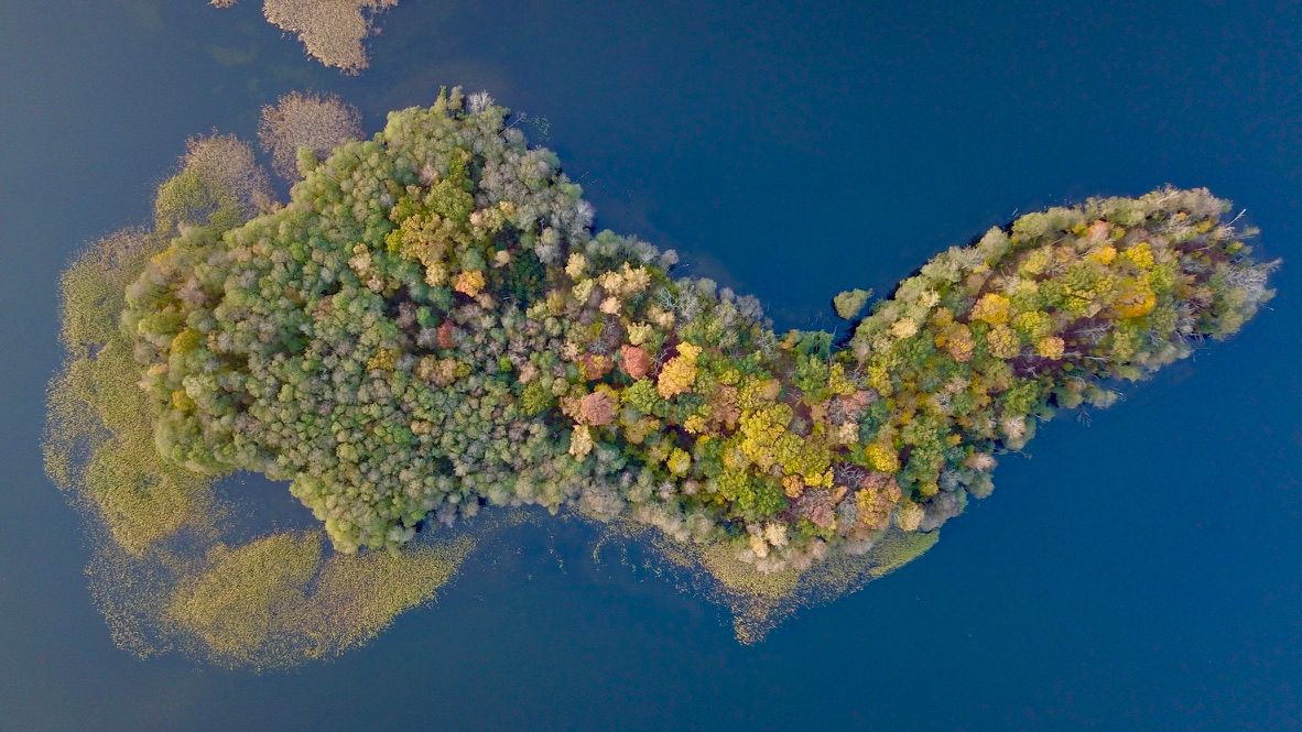 Długa wyspa z wielobarwnym lasem na jeziorze, widok z góry