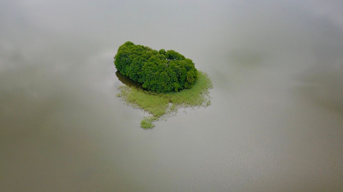 Wyspa w kształcie serca z gęstym lasem na jeziorze