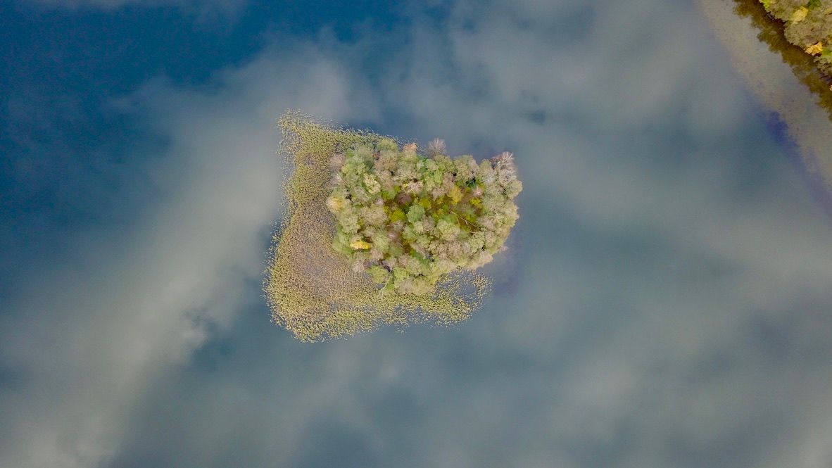 Wyspa z drzewami na tle odbitych chmur w niebieskiej wodzie