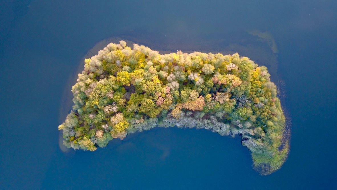 Wyspa w kształcie księżyca z kolorowym lasem na jeziorze, widok z drona
