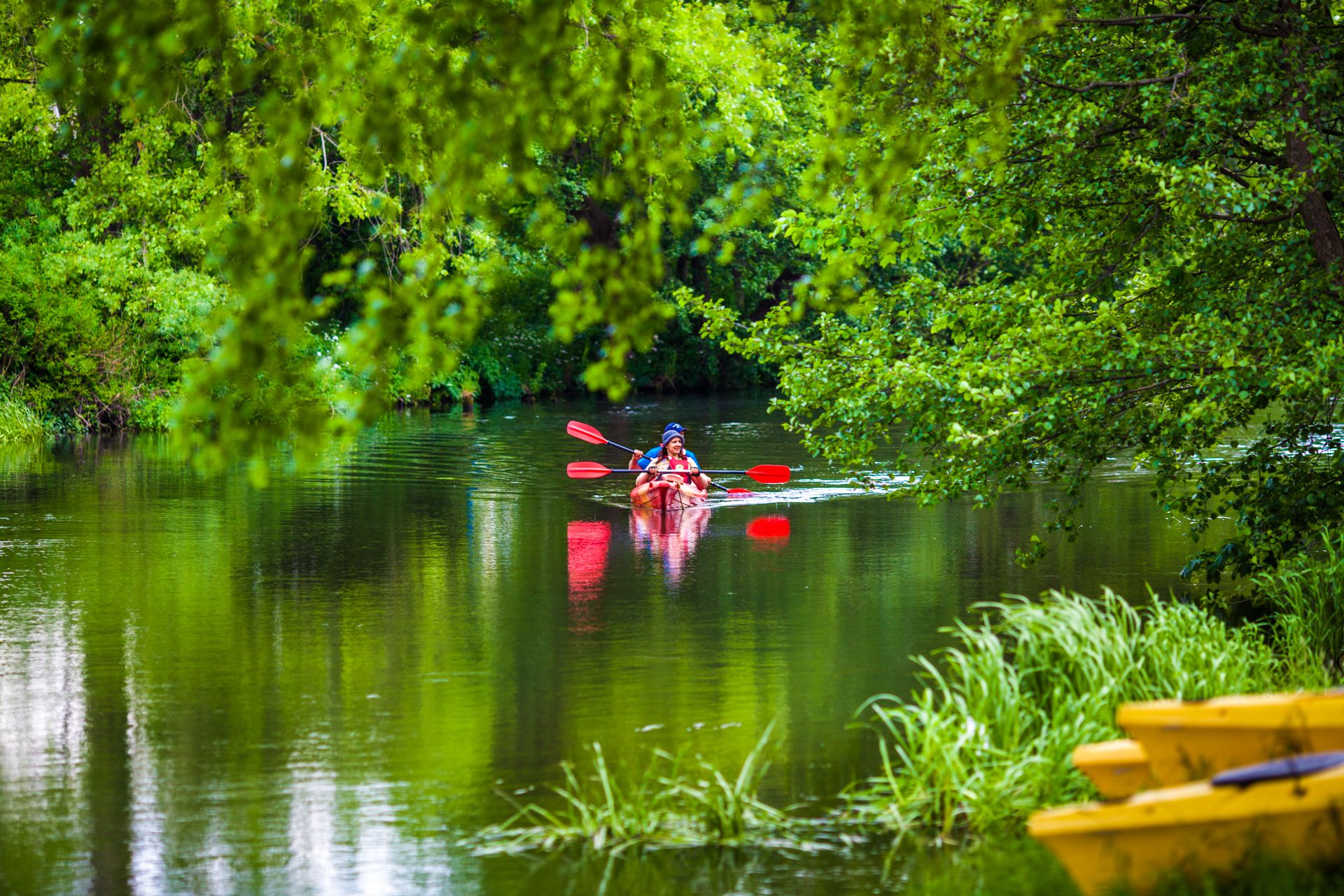 Kajakarze w czerwonym kajaku na rzece Skotawa, zielone drzewa nad wodą