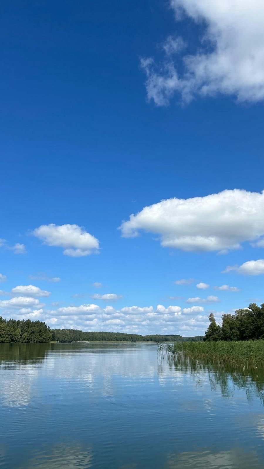Jezioro z odbiciem nieba w wodzie, trzciny i las na brzegu