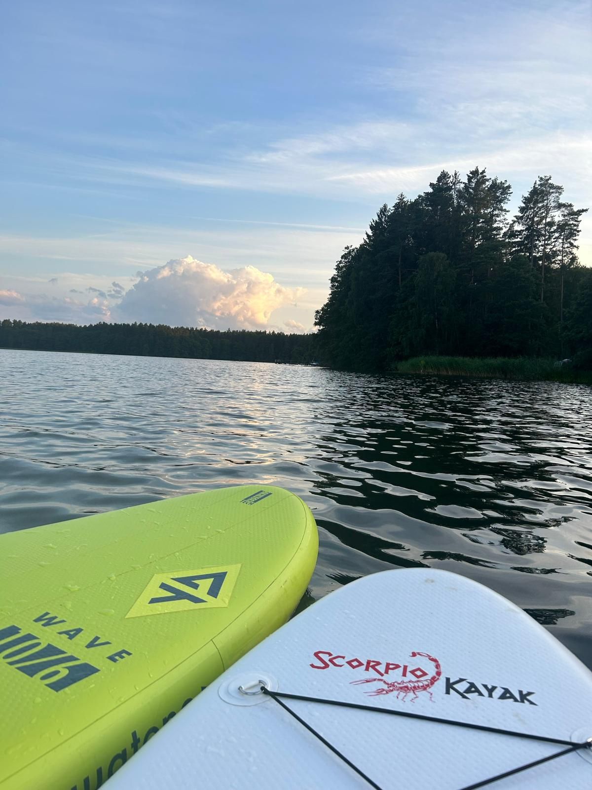 Deski SUP na jeziorze, zalesiony brzeg w tle